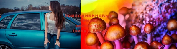 spice Пересвет