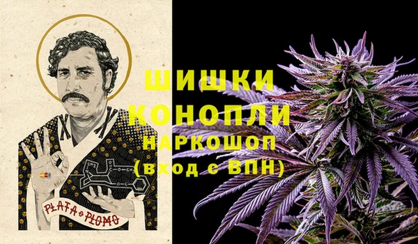 ECSTASY Пестово