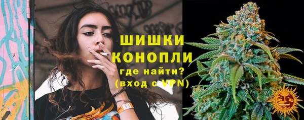 spice Пересвет