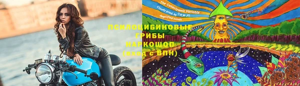 spice Пересвет