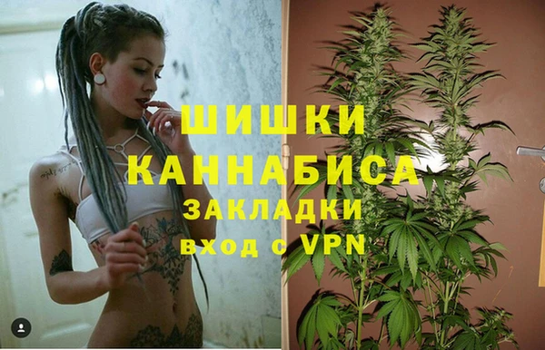 ECSTASY Пестово