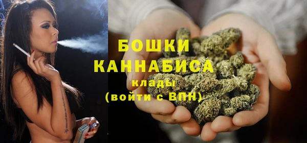spice Пересвет