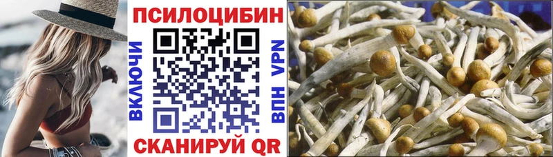купить закладку  Спасск  Галлюциногенные грибы Psilocybe 